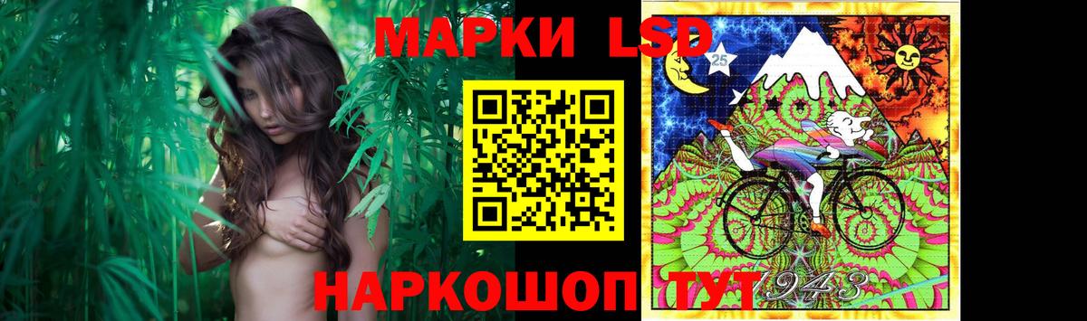 ЛСД экстази кислота  Вход с VPN  Нефтекумск  blacksprut ТОР  LSD-25 экстази кислота  Лсд 25 экстази 