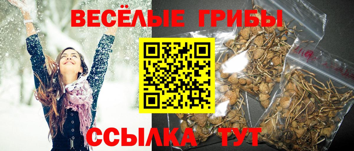 Галлюциногенные грибы мицелий  Вход с VPN  Нефтекумск 